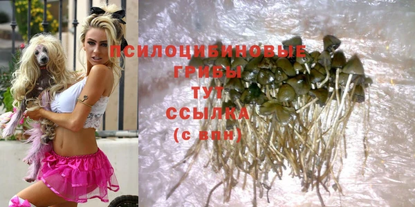 apvp Гусиноозёрск