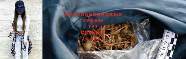 соль ск Гусев