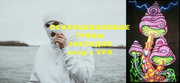 apvp Гусиноозёрск