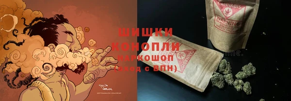 apvp Гусиноозёрск