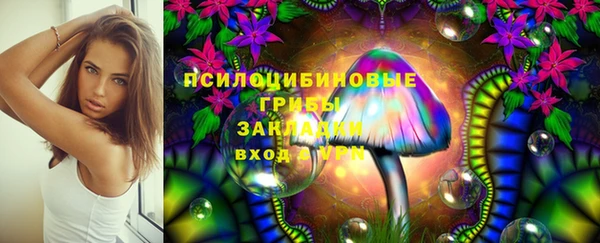 соль ск Гусев
