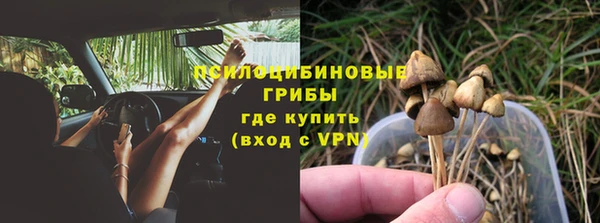 2c-b Гусь-Хрустальный
