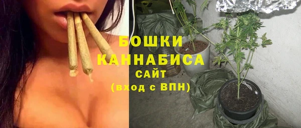 apvp Гусиноозёрск