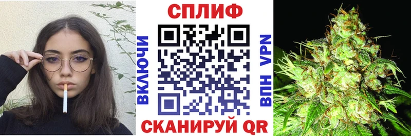 Бошки марихуана MAZAR  Купить закладки  Инсар 